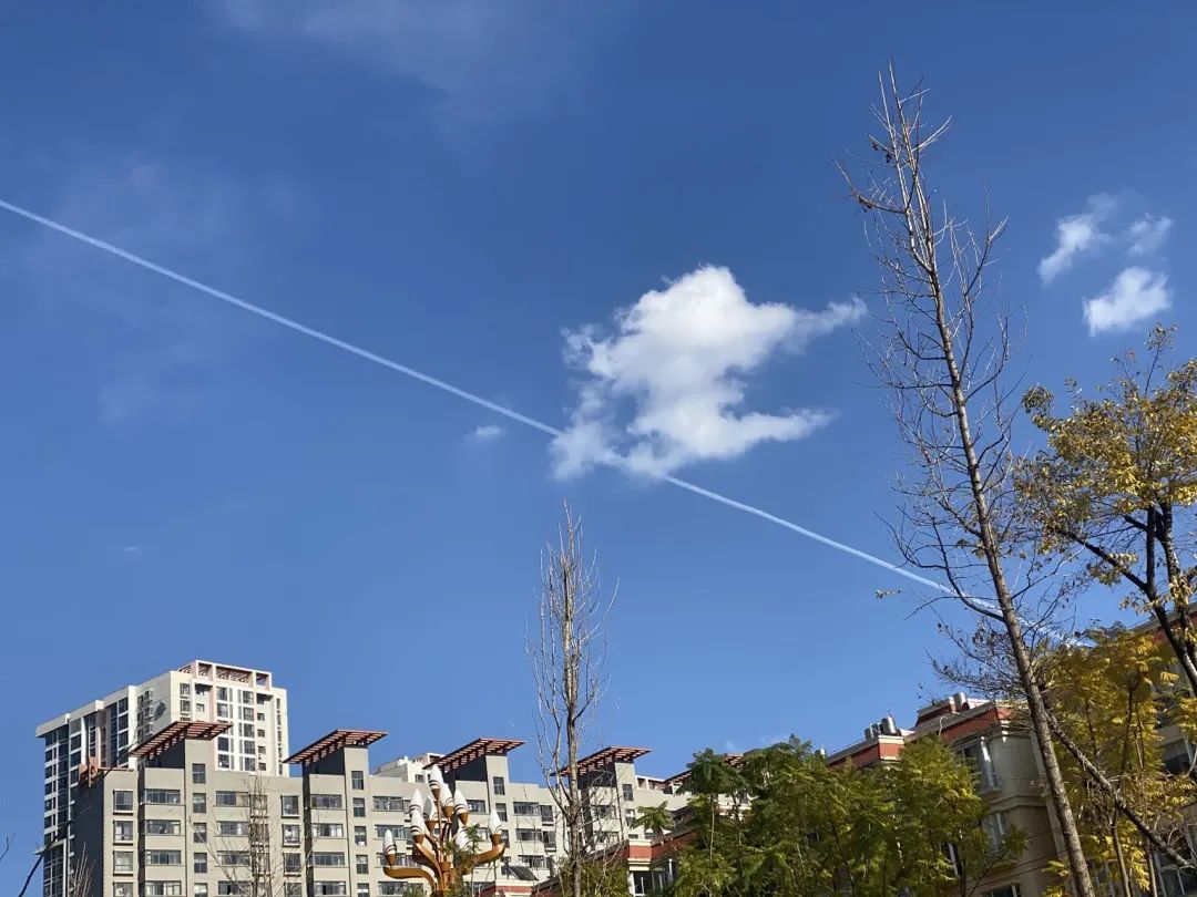 昆明信息港/cnkmxxg