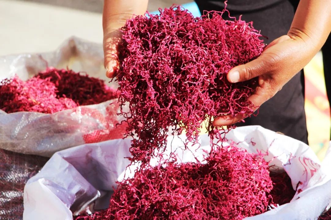 保山广播电视台