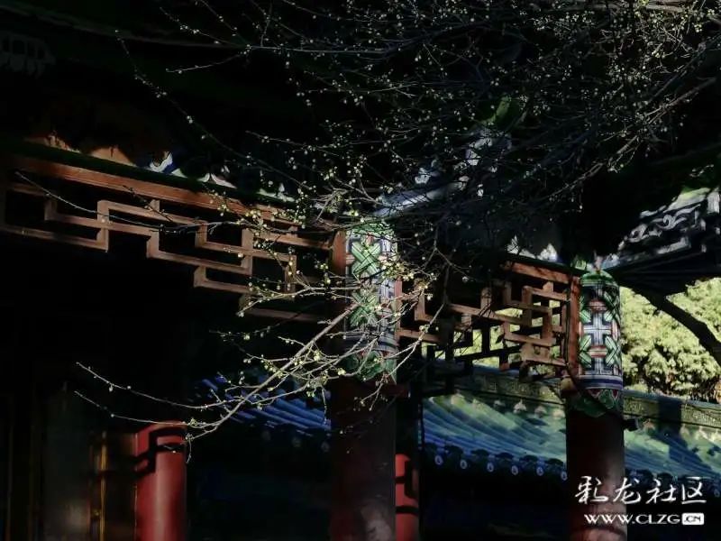 大观楼