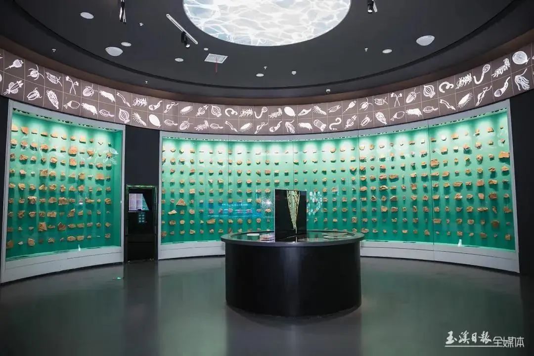 美丽云南微科普