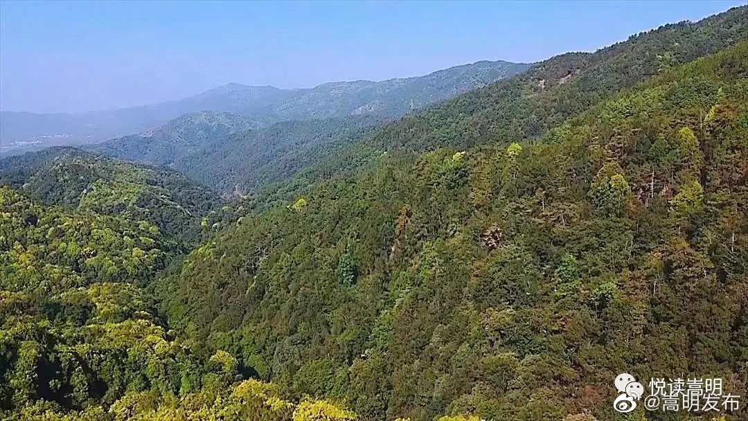 嵩明发布