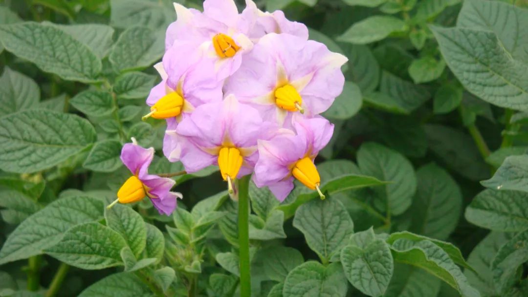 东川发布(微信)