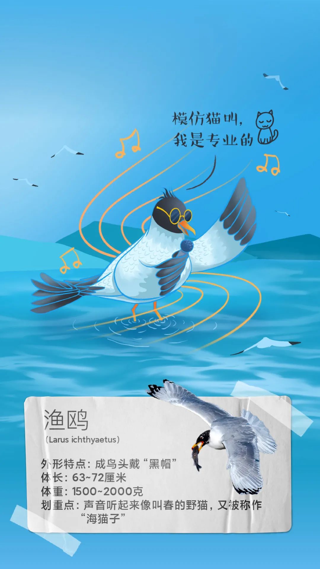 昆明发布