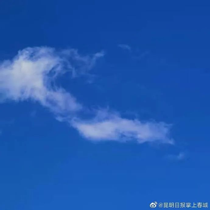 掌上春城微信公众号