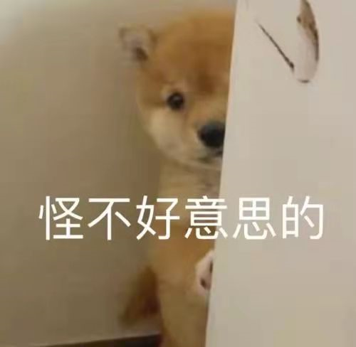 西山住建