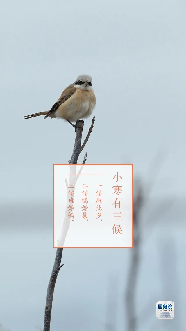 中华人民共和国中央人民政府