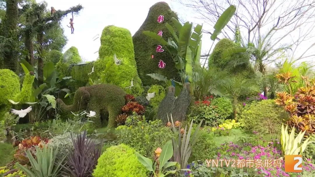 昆明信息港/cnkmxxg