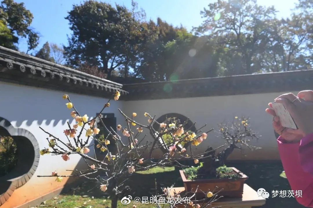 昆明盘龙发布