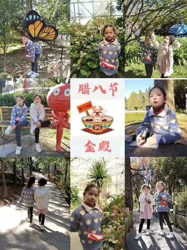 盘龙教育(微信)