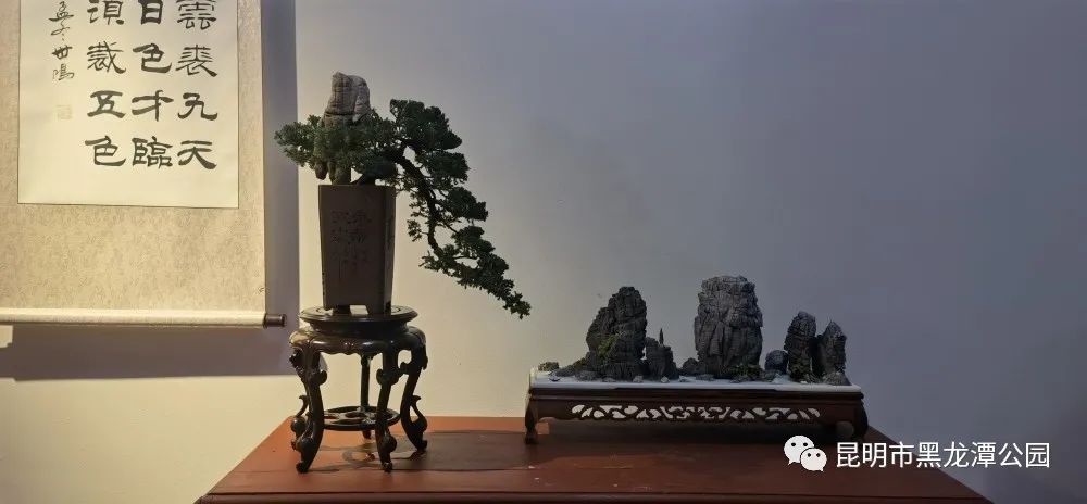 昆明市黑龙潭公园