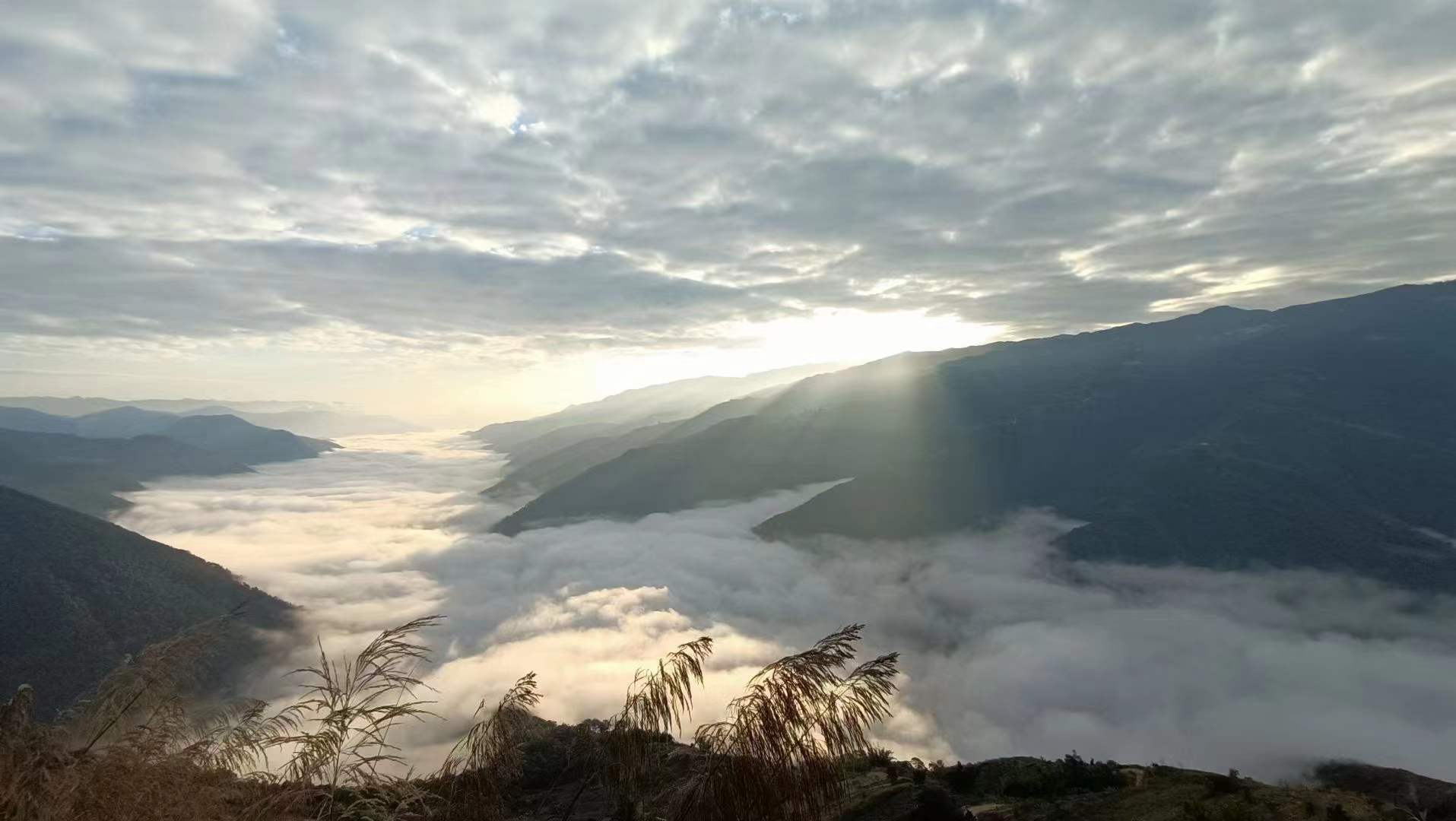 云南省文化和旅游厅