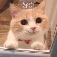 东川人社(微信)