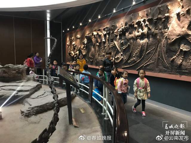 提醒！昆明动物博物馆初四至初六正常开放