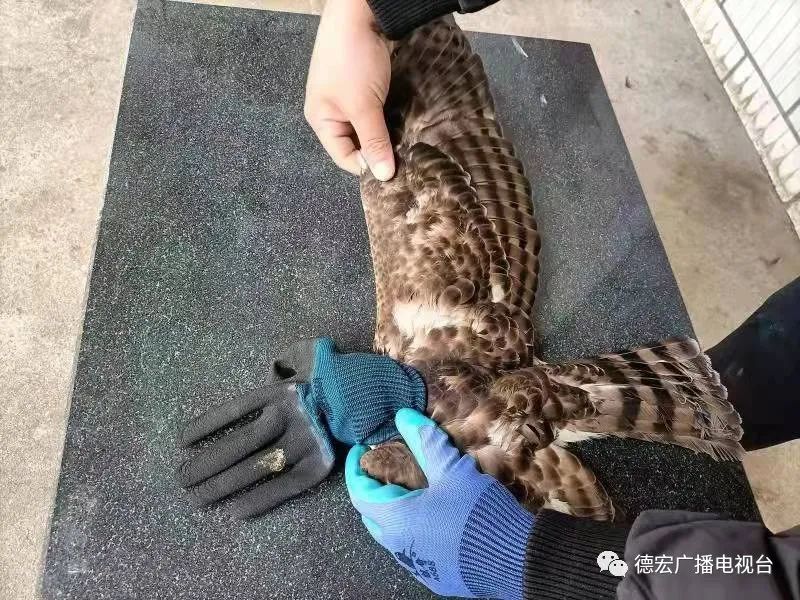 德宏广播电视台