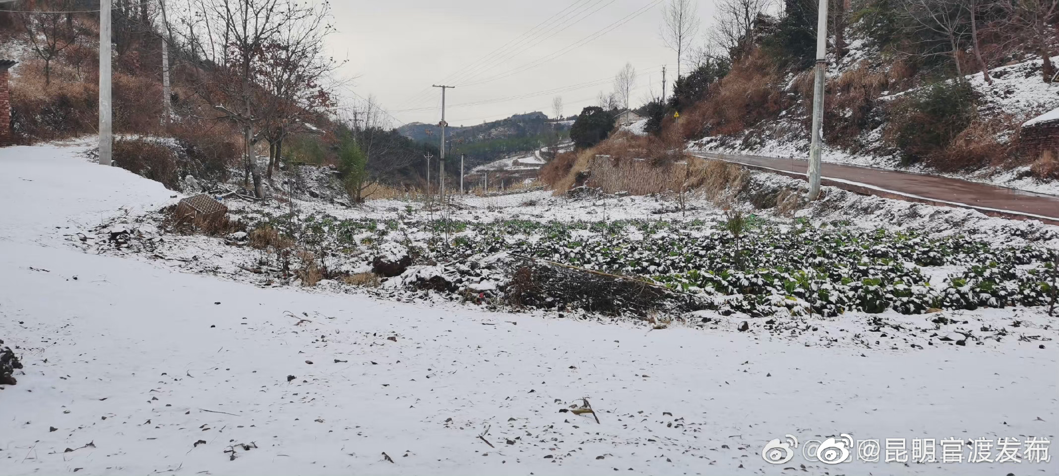 最低气温降至2℃！云南多地或将出现霜冻天气