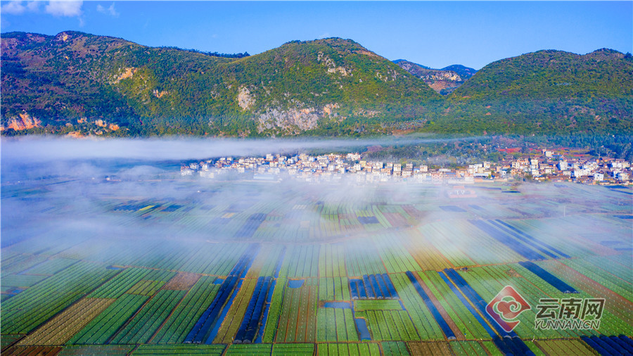 云南省文化和旅游厅