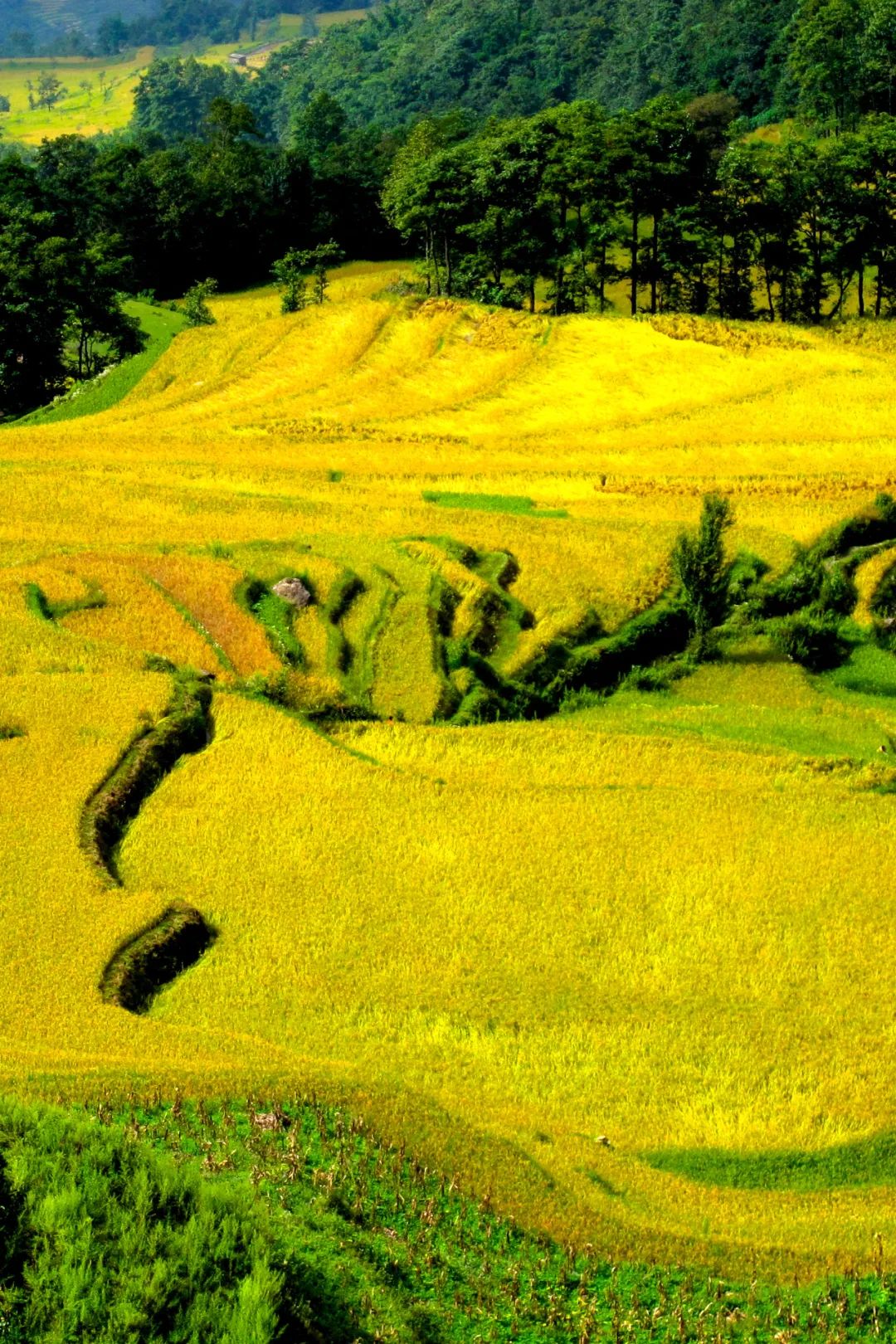 红河文旅