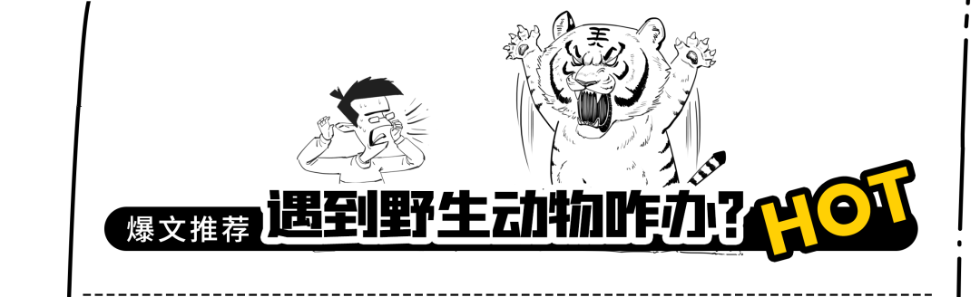 美丽云南微科普