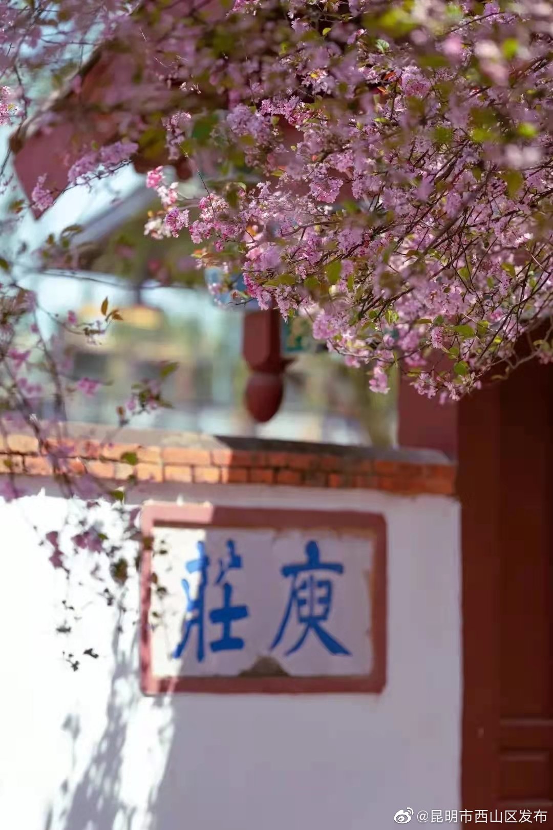 “昆明市西山区发布”微博