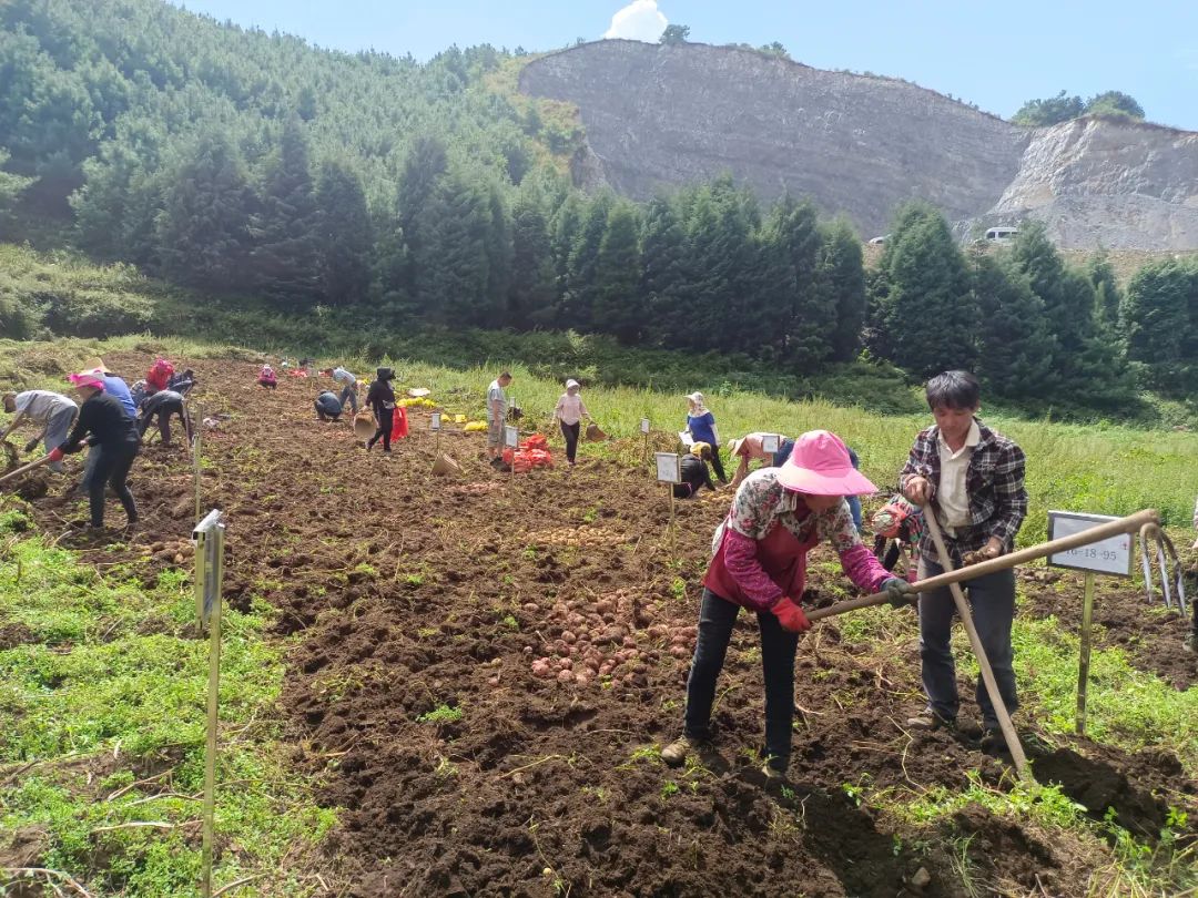 东川发布(微信)