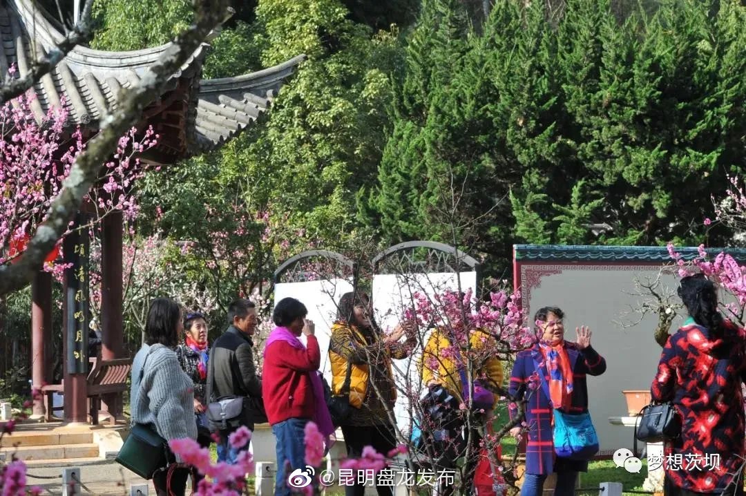 昆明盘龙发布