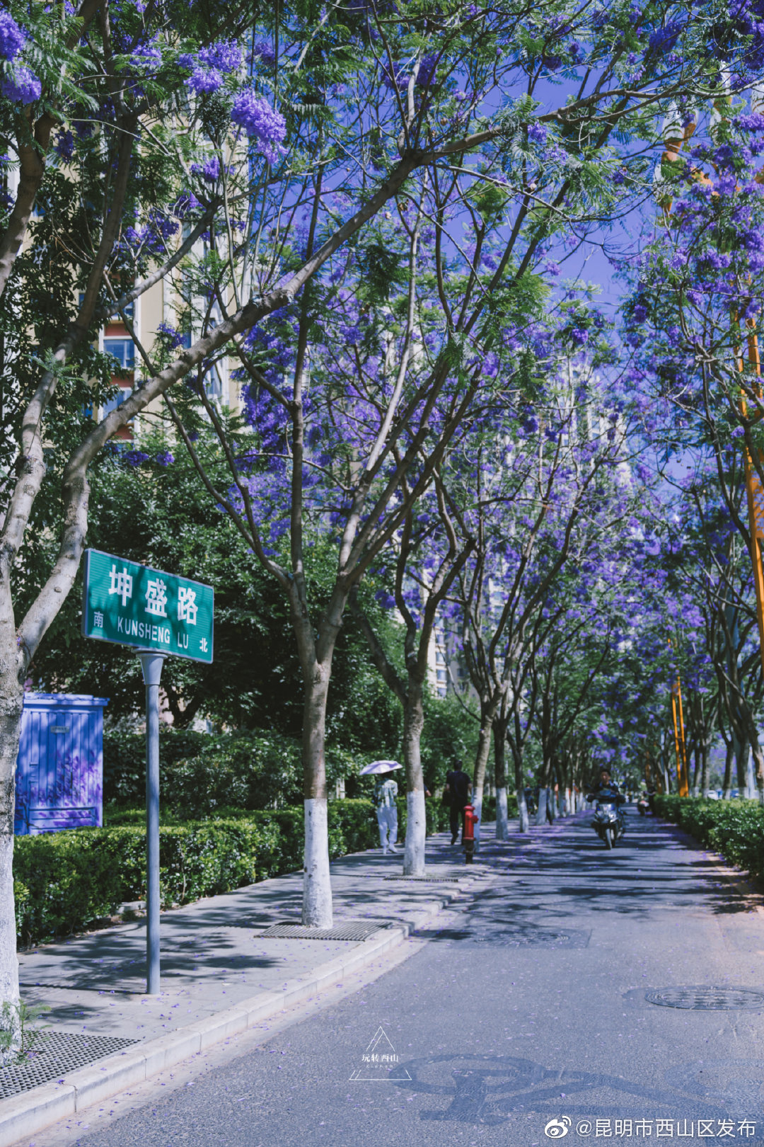 “昆明市西山区发布”微博