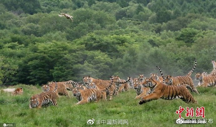 呈贡发布