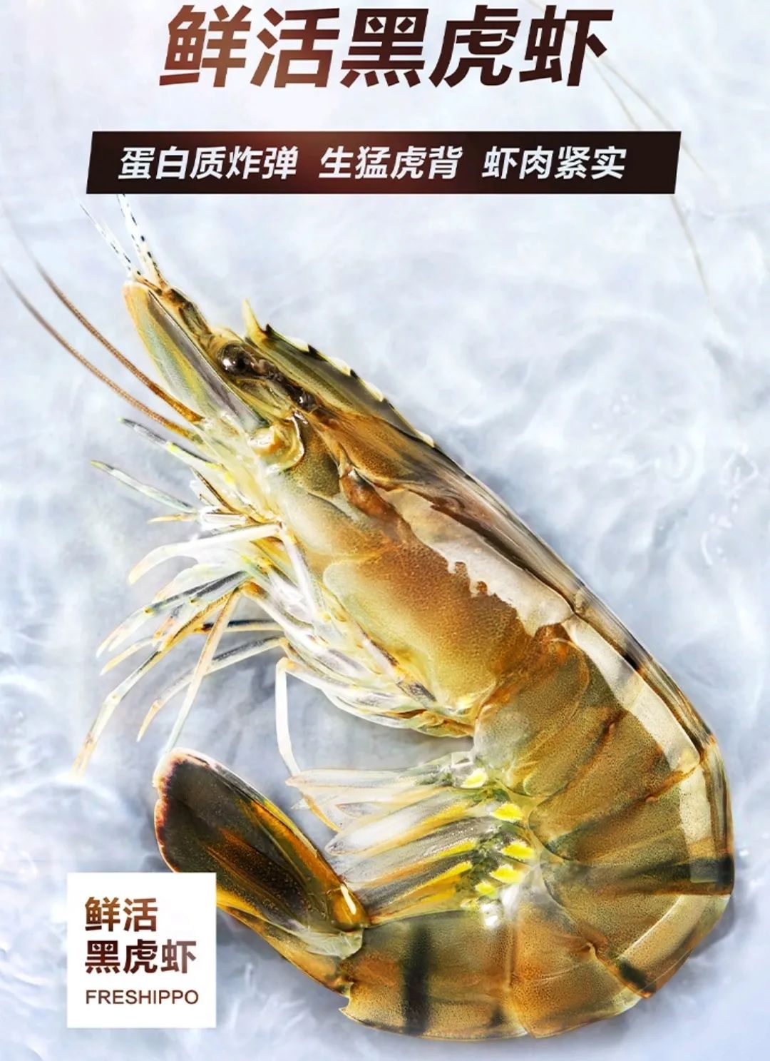 春城晚报