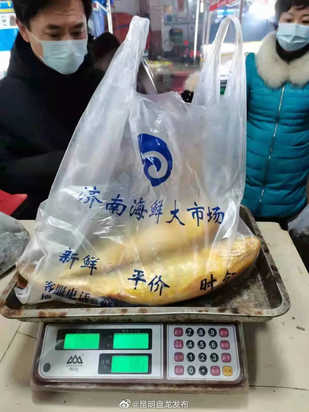 昆明盘龙发布