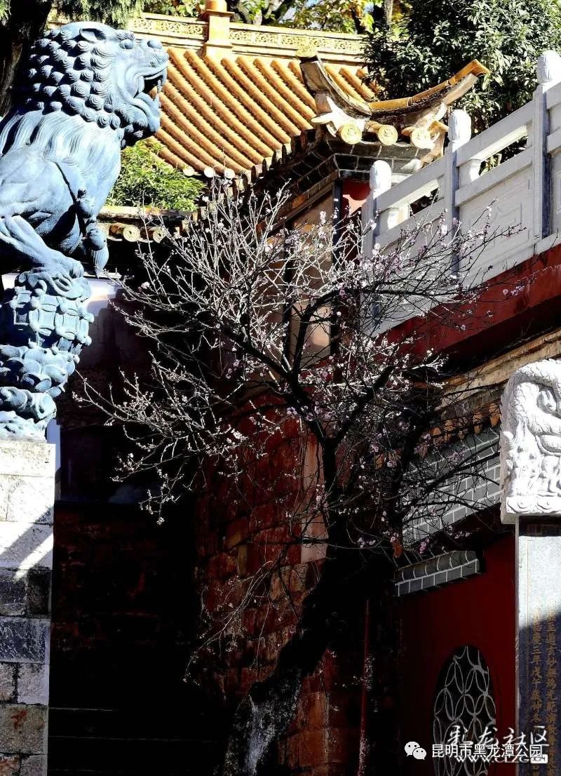 昆明市黑龙潭公园