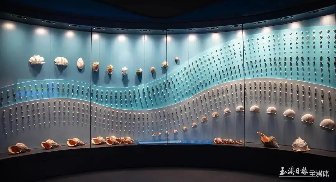 美丽云南微科普