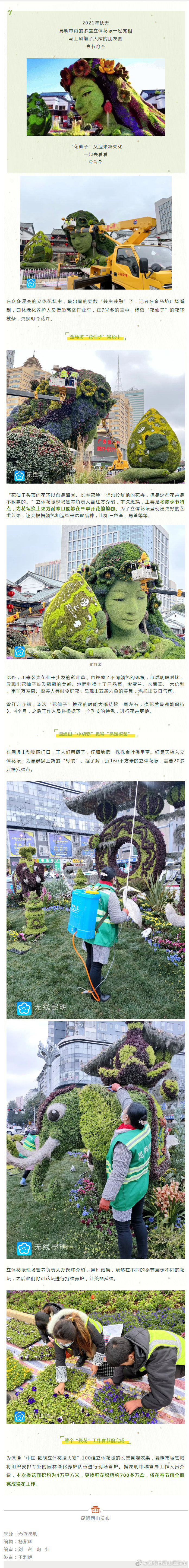 金马坊的“花仙子”换新“衣”迎春节，市民直呼：太美！