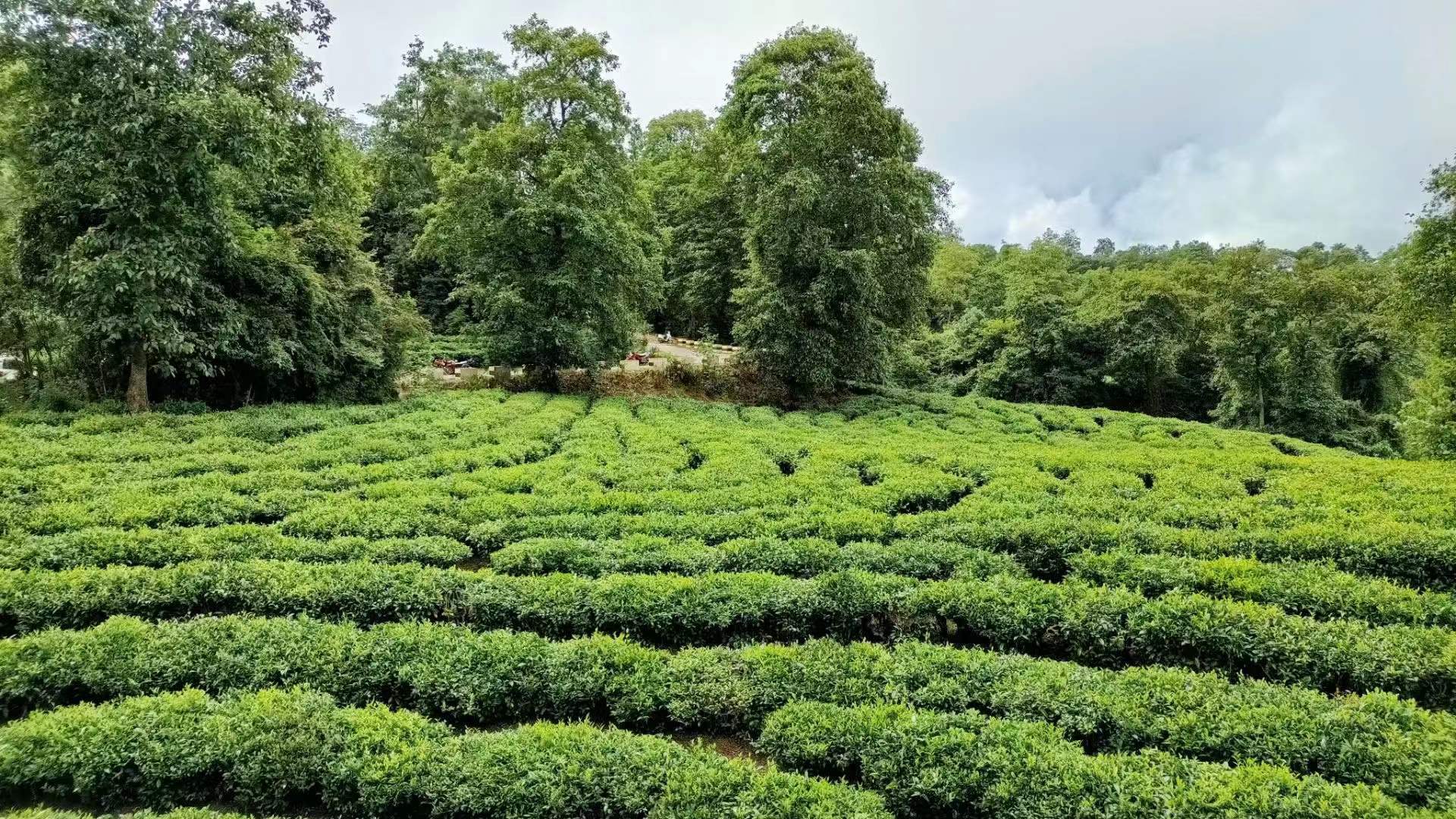 云南省文化和旅游厅