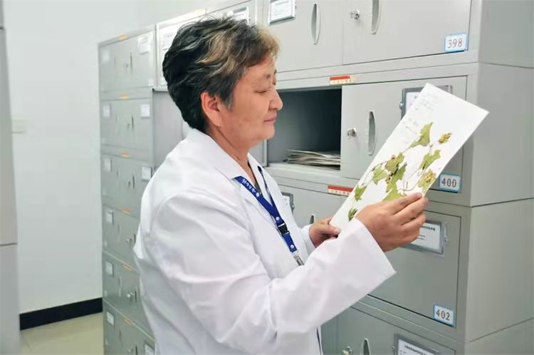 美丽云南微科普