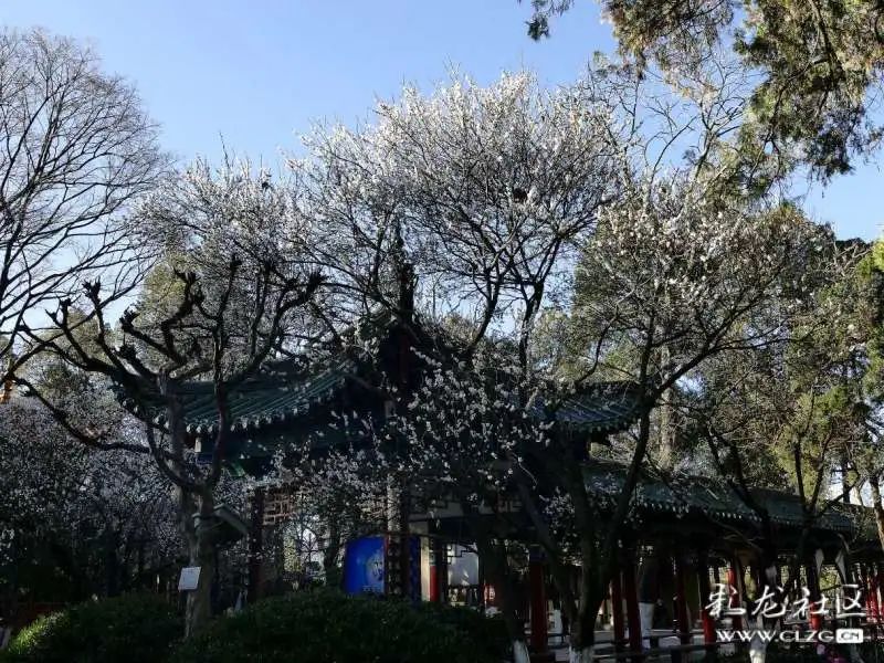 大观楼