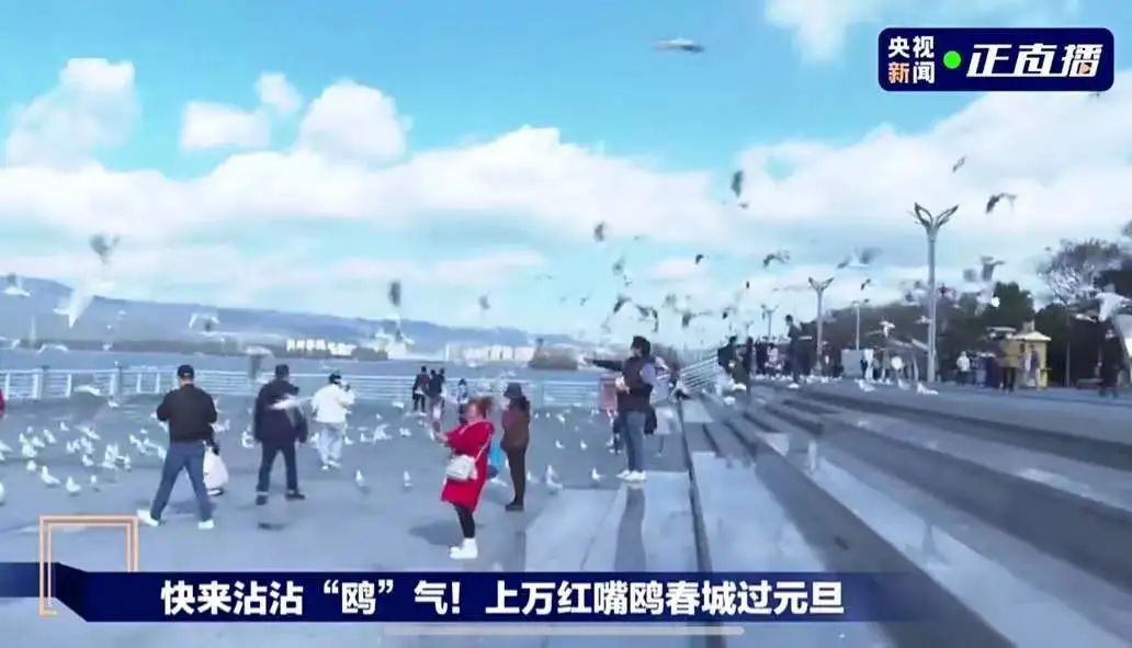 昆明滇池国家旅游度假区管理委员会(微信)