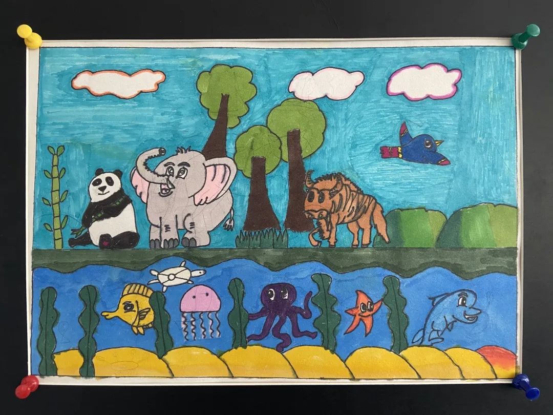 盘龙教育(微信)