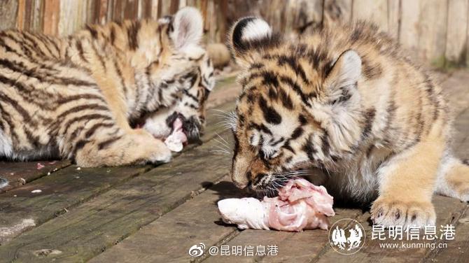 昆明信息港