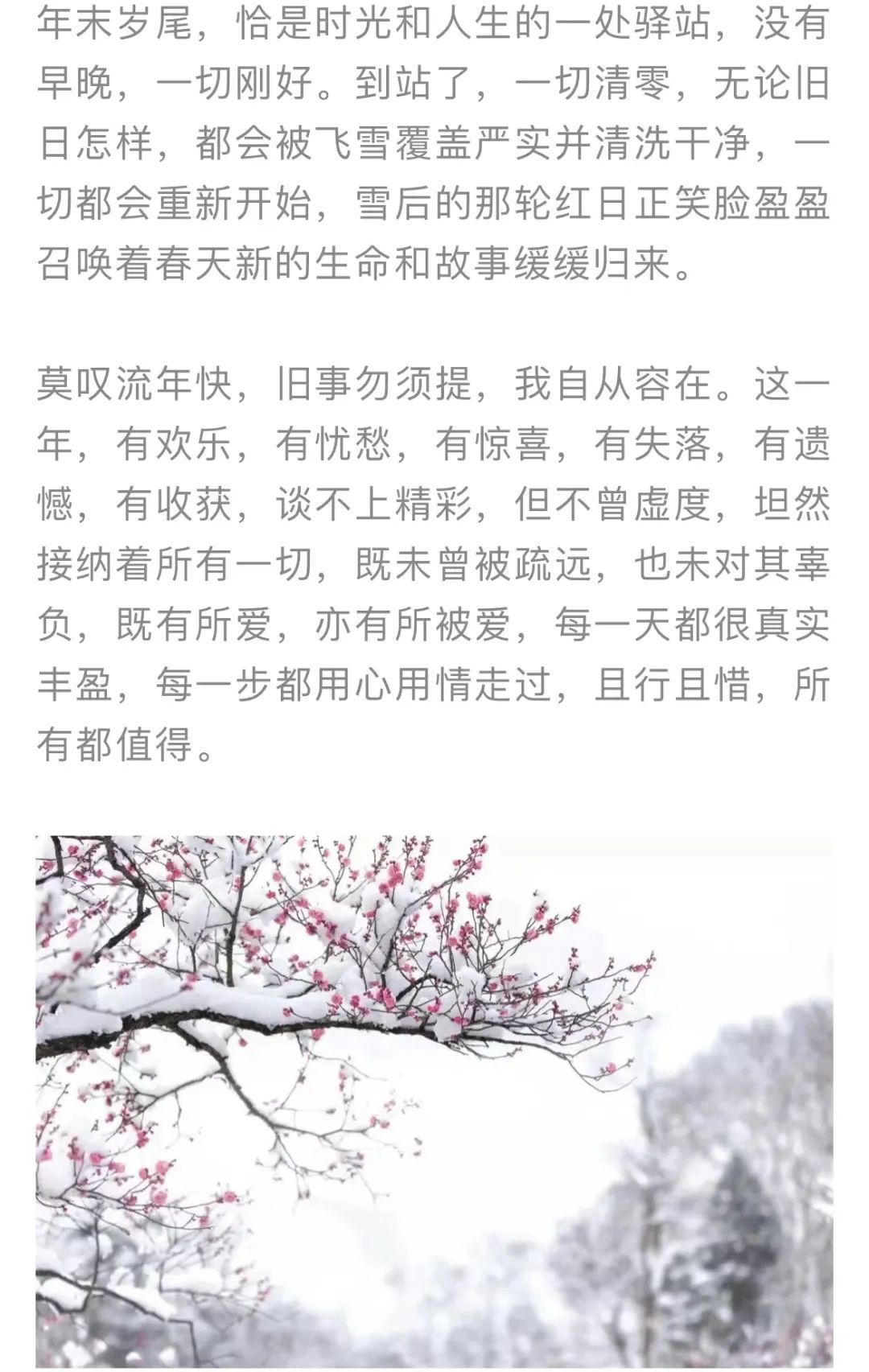 红色扎西