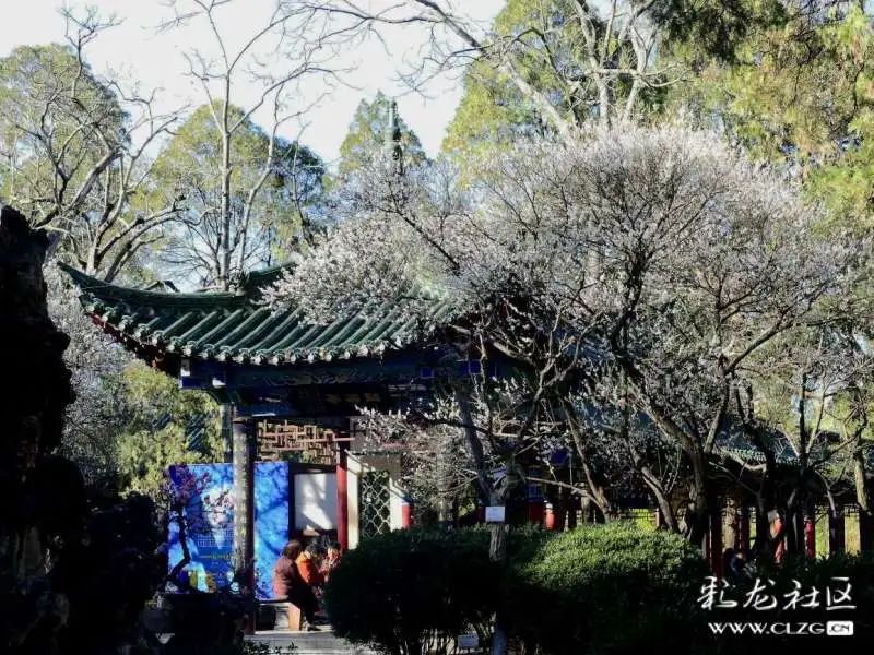 大观楼