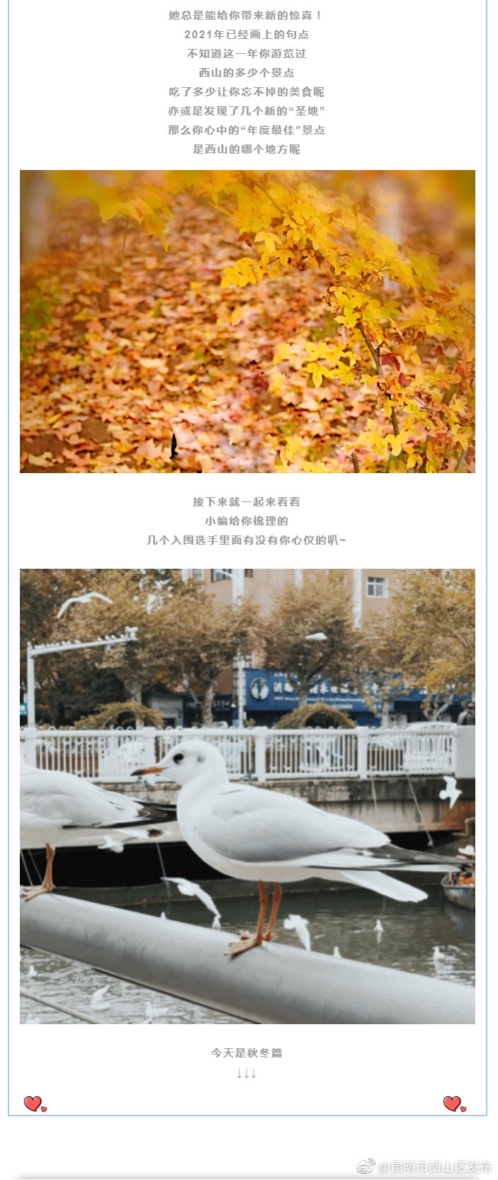 “昆明市西山区发布”微博