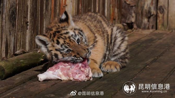 昆明信息港