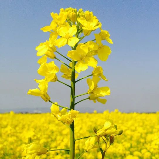 昆明市延安医院