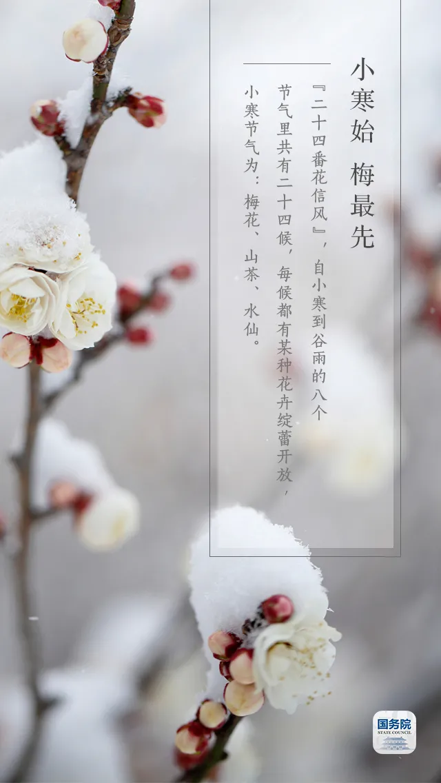 中华人民共和国中央人民政府