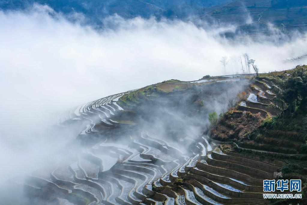 云南省文化和旅游厅