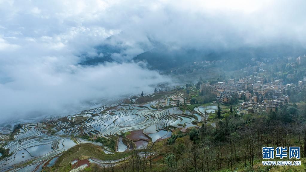 云南省文化和旅游厅