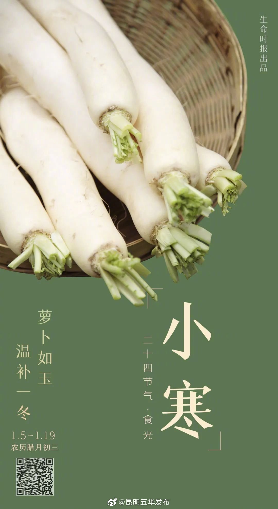 今日小寒：皎皎玉根，腊月迎春