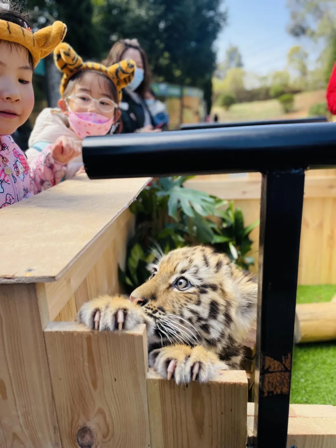 云南野生动物园