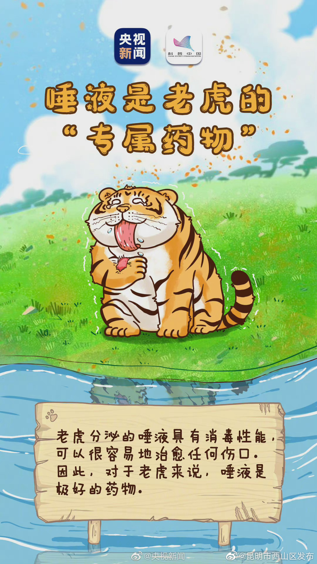 “昆明市西山区发布”微博