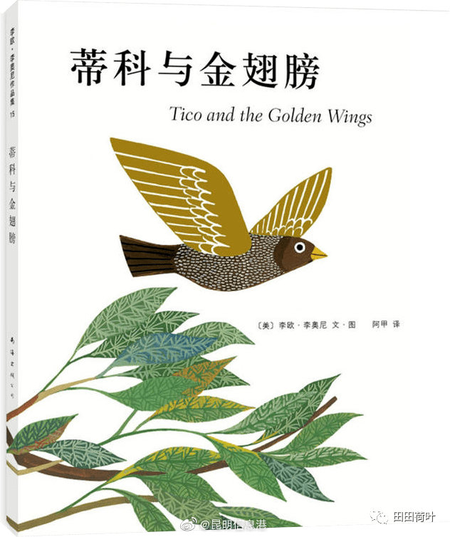 昆明信息港